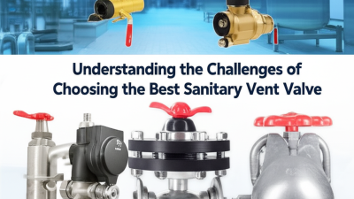 Understanding the Challenges of Choosing the Best Sanitary Vent Valve