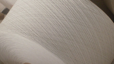 Meta Aramid with FR Viscose Spun Yarn (1).jpg