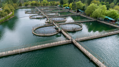 Exploring Innovative Alternatives to the Best Mbbr System for Wastewater Treatment Solutions