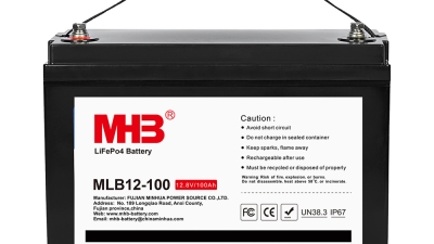 MLB12-100.jpg