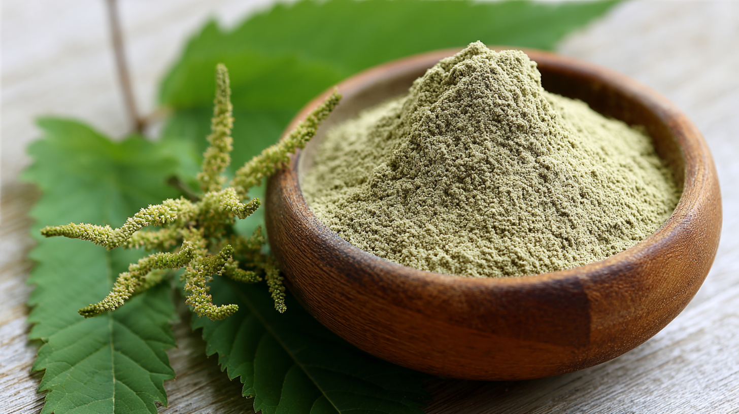 Evaluating the Superiority of Ampelopsis Grossedentata Extract Powder: A Comprehensive Comparison