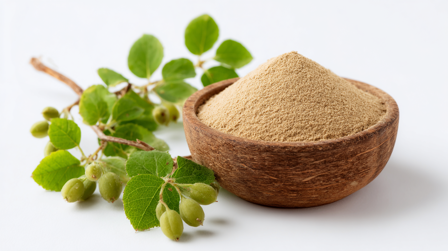 Evaluating the Superiority of Ampelopsis Grossedentata Extract Powder: A Comprehensive Comparison