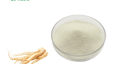 Hydrolyzed Ginseng Protein.jpg
