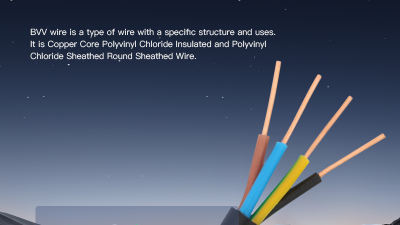 BVV电缆英文主图1.png