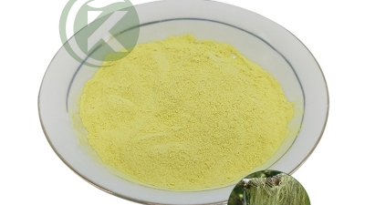 Usnea Diffracta Vain Extract Usnea Acid Powder01.jpg