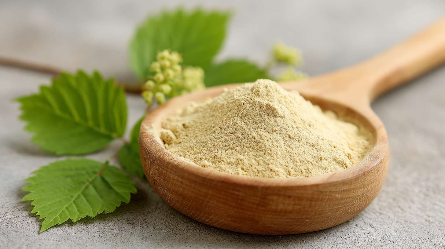 5 Top Reasons Why Best Natural Rutin Powder is Essential for Your Health Product Line in 2023