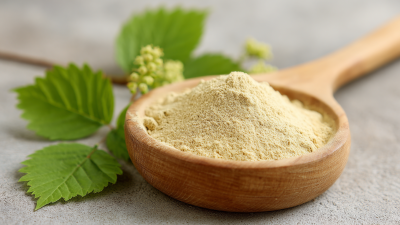 5 Top Reasons Why Best Natural Rutin Powder is Essential for Your Health Product Line in 2023