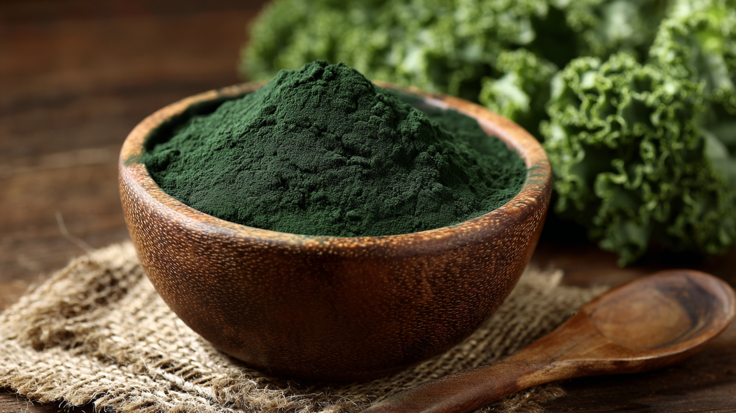 How to Leverage Best Bulk Sodium Copper Chlorophyllin for Effective Food Industry Solutions
