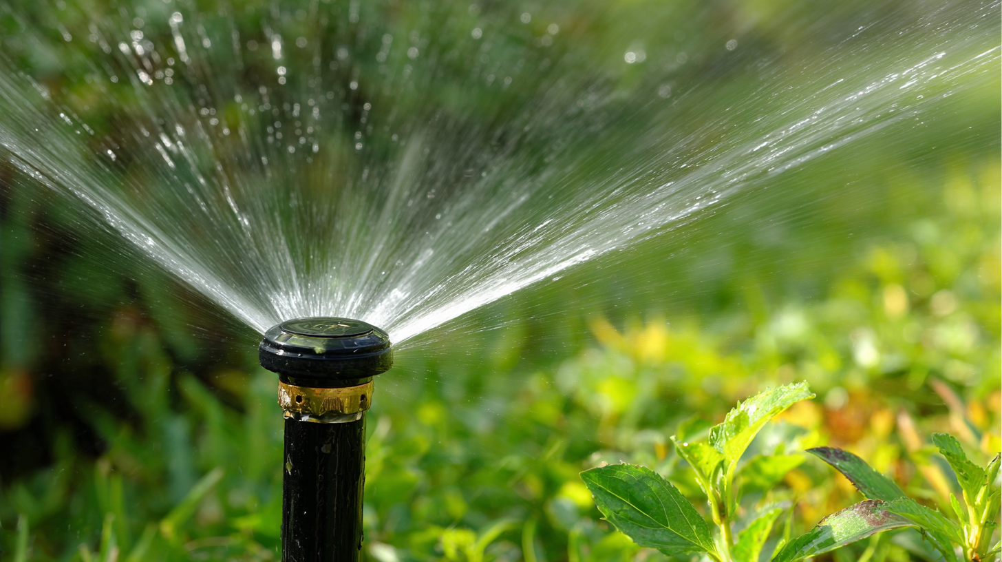 Spray Sprinkler Market Insights for 2025 Trends Opportunities and Challenges