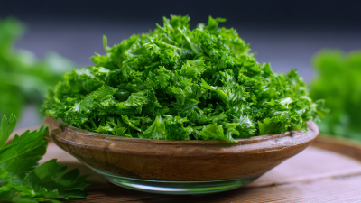 Trends Shaping the Future of Best Freeze Dry Parsley Market in 2025