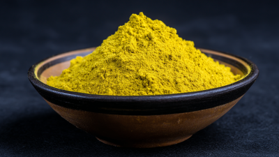 Maximizing Value: After-Sales Support and Maintenance Costs for Best Organic Quercetin Powder in a Changing Market