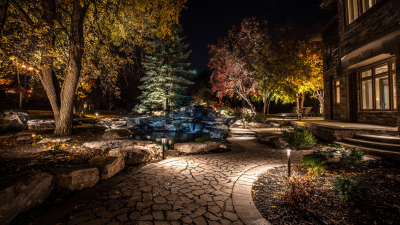 Challenges Encountered with Selecting the Best Led Landscape Light for Your Projects