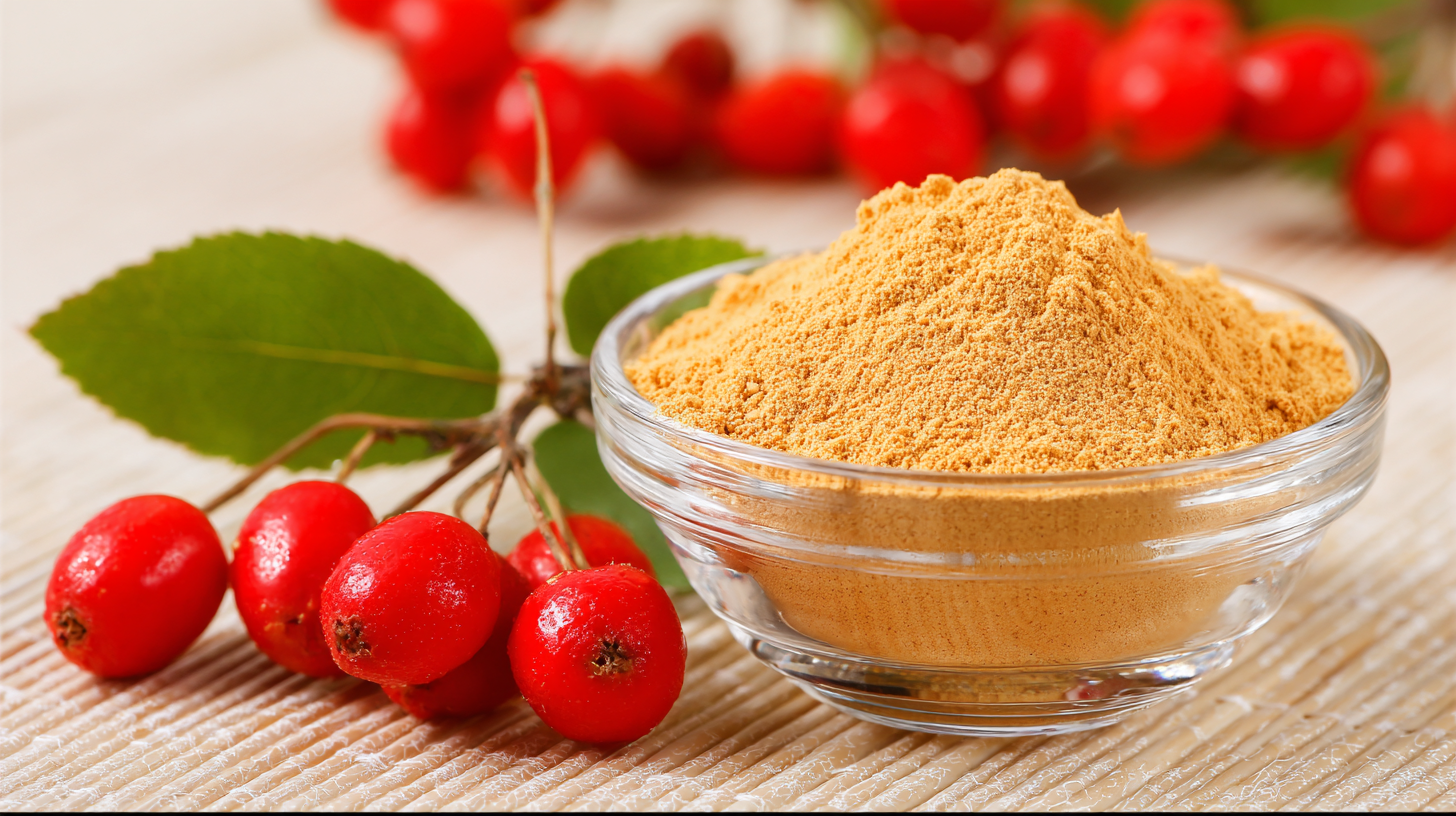 Unmatched Chinese Production of Best Fruit Enzyme Powder Delivering Global Excellence