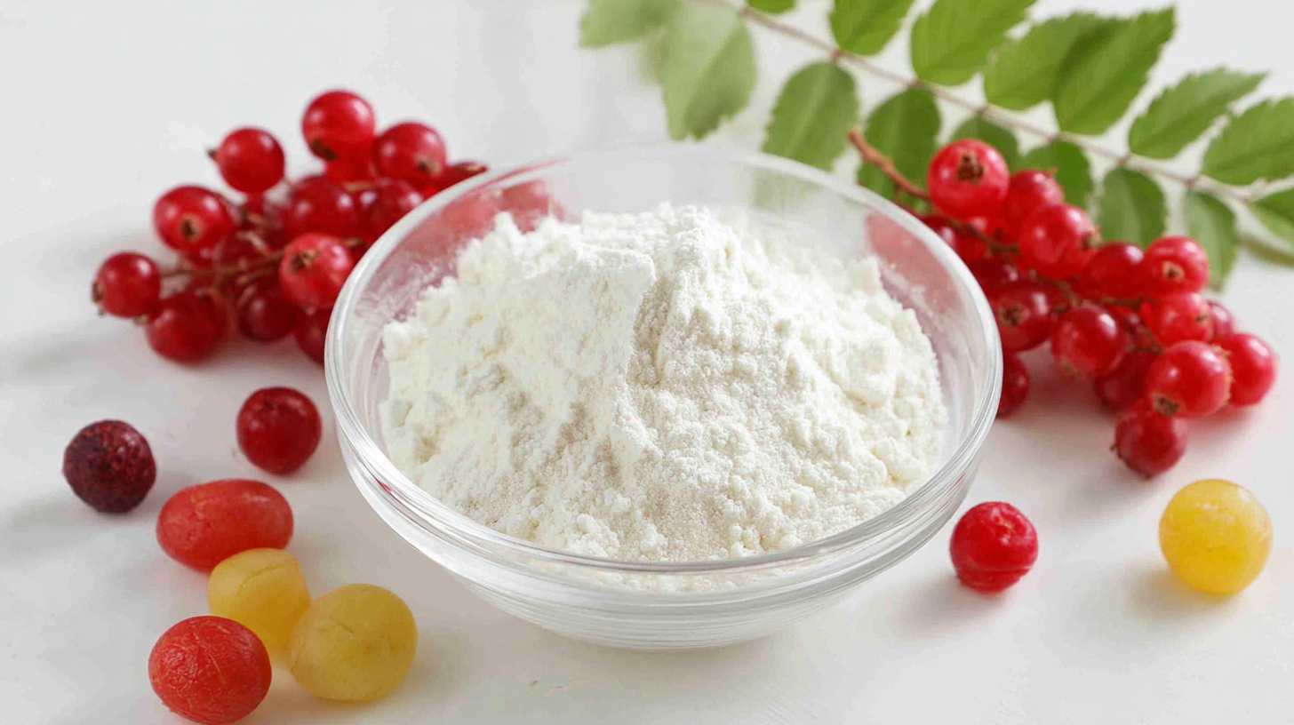 Unmatched Chinese Production of Best Fruit Enzyme Powder Delivering Global Excellence