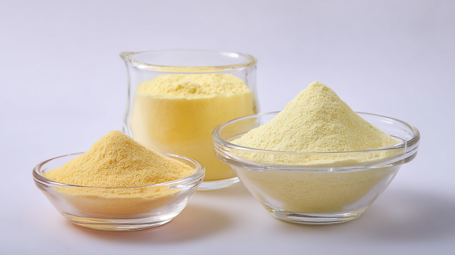 Unmatched Chinese Production of Best Fruit Enzyme Powder Delivering Global Excellence