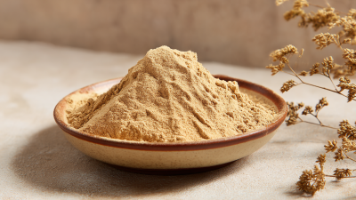 Unmatched Quality of Best Premium Mud Additives from Trustworthy Chinese Manufacturers
