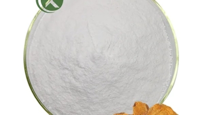 Polygonum Cuspidatum Root Extract Polydatin Powder.jpg