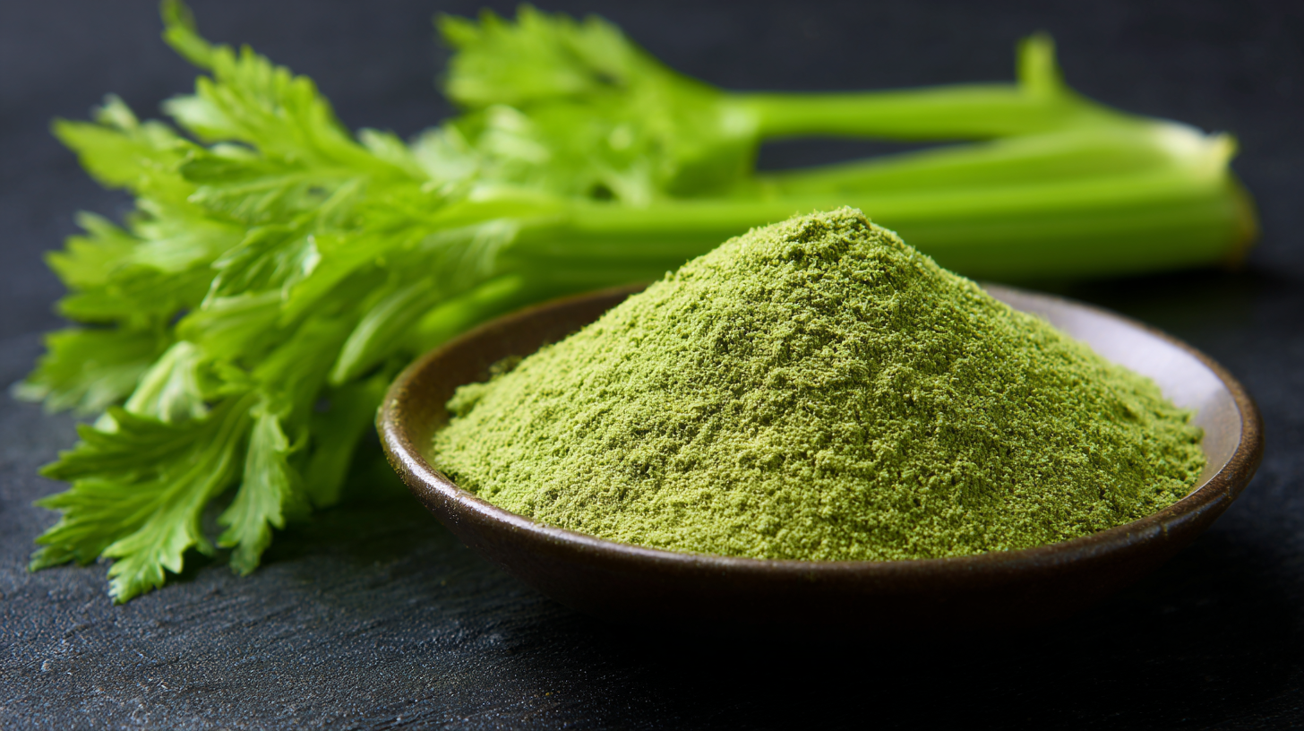 Essential Guide to Import-Export Certifications for the Best Celery Extract Powder