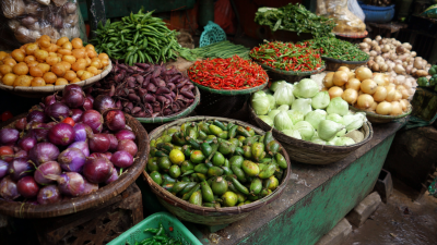 How to Maximize Savings with Best Vegetable Peeler After Sales Services and Repair Costs