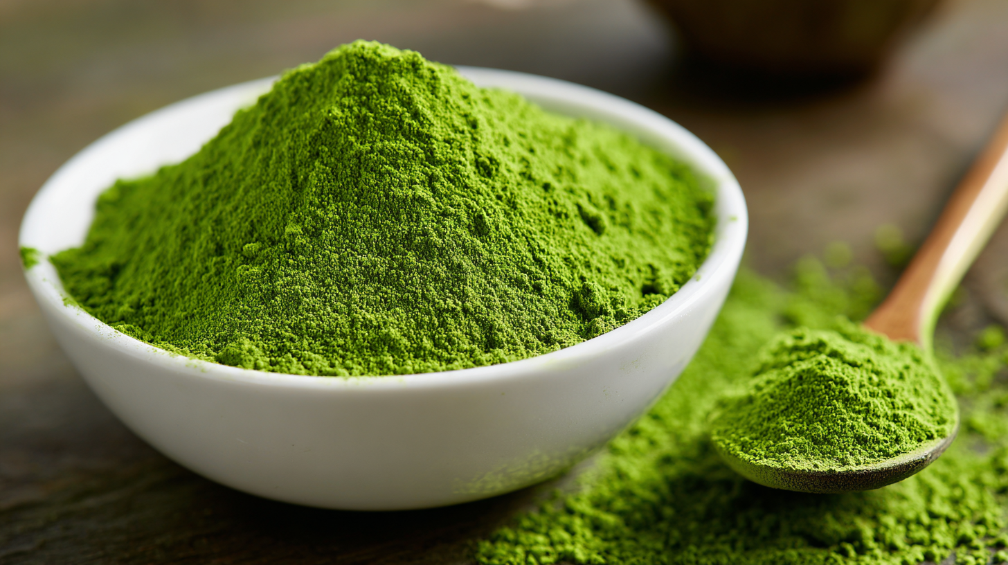 Navigating Export Certifications for Best Wheat Grass Juice Powder in the Global Market