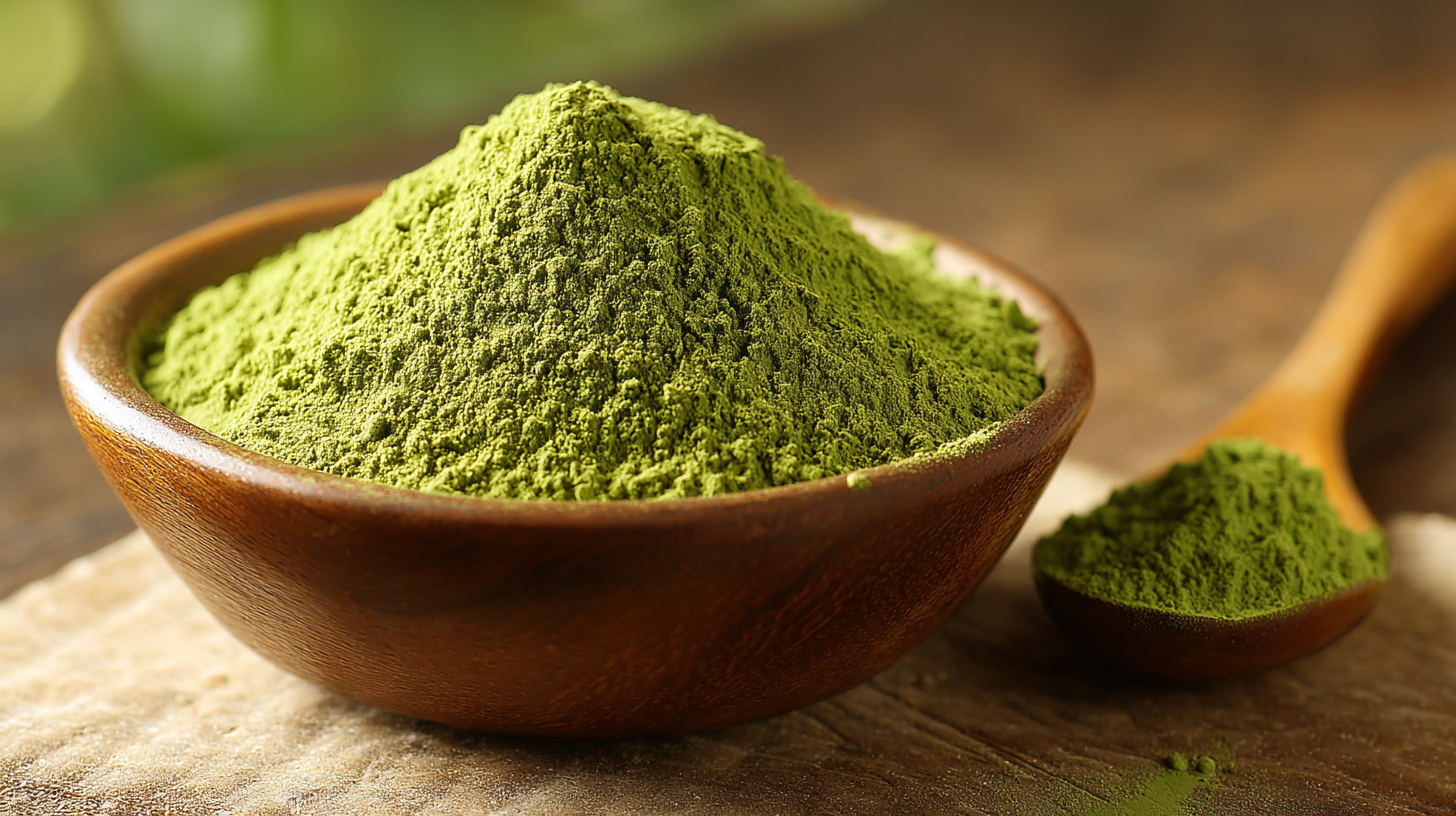 Navigating Export Certifications for Best Wheat Grass Juice Powder in the Global Market