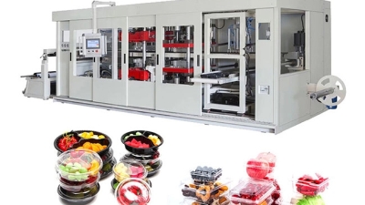 _New Multi-Station Thermoforming Machine for Tray Making.jpg