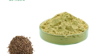 Hemp-Seed-Protein-Powder.jpg