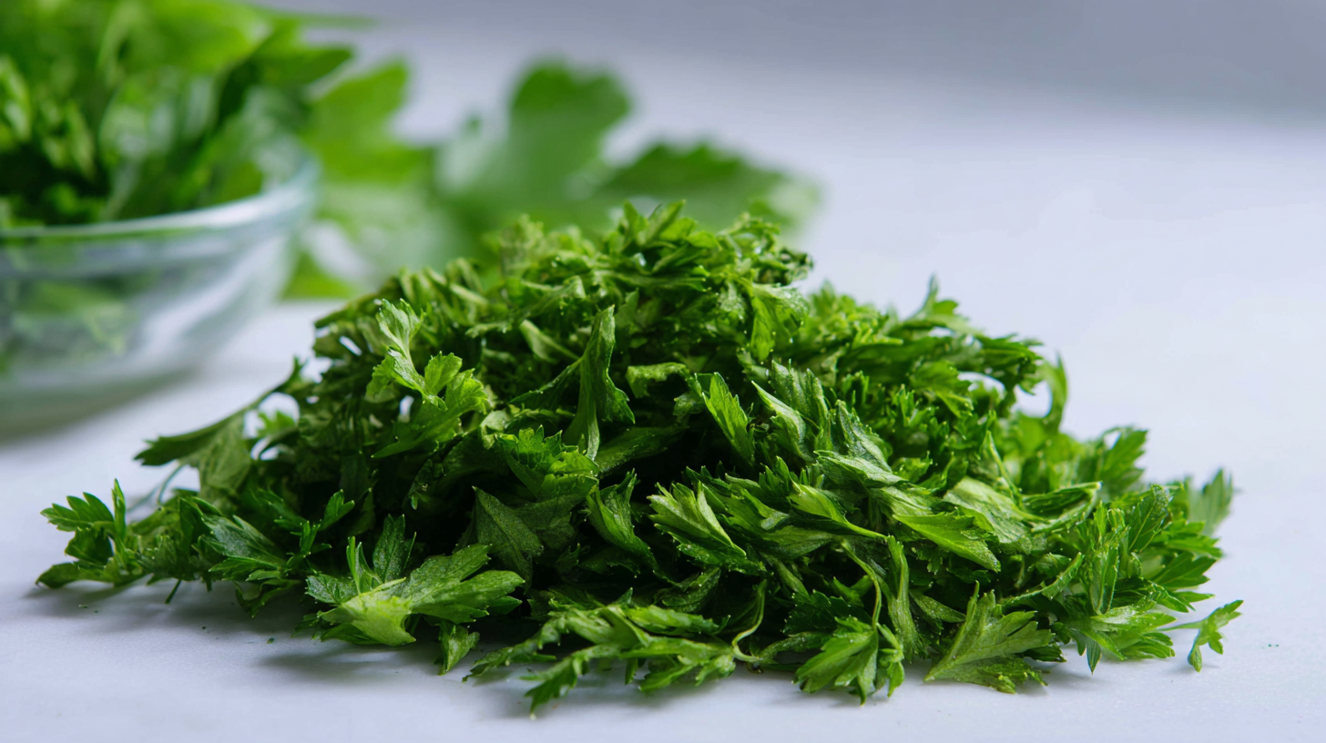 Unlocking the Advantages of the Best Freeze Drying Parsley for Diverse Culinary Applications
