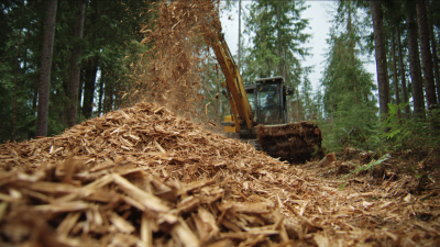 Understanding the Challenges of Selecting the Best Branch Shredder for Your Needs