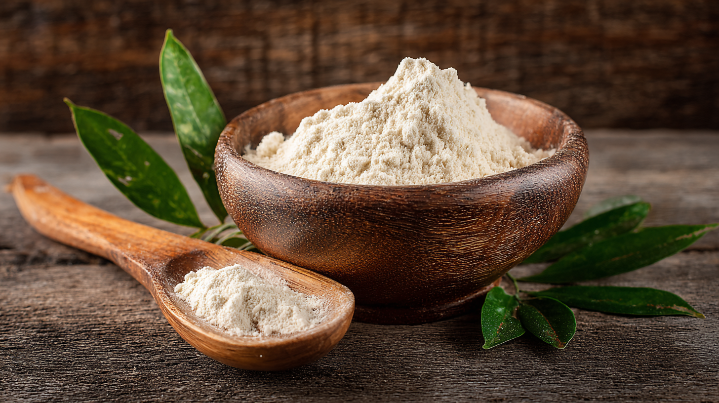China's Leading Exporter of Superior Methylcellulose for Global Food Applications