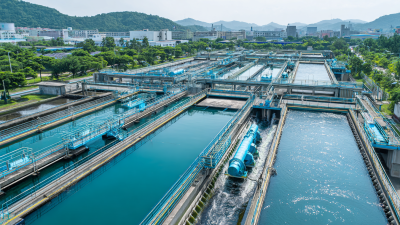 Understanding the Global Standards Challenges in MBBR Systems for Wastewater Management