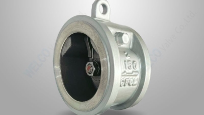 Single disc swing check valve long pattern.jpg