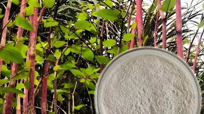 Extract-Resveratrol (1).jpg