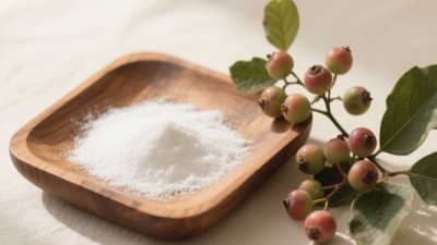 Bearberry Extract Arbutin Powder  .jpg