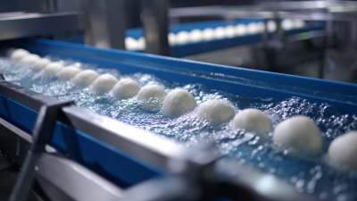 Understanding Industry Standards for Best Fish Ball Boiling Line Production and How to Choose the Right Equipment