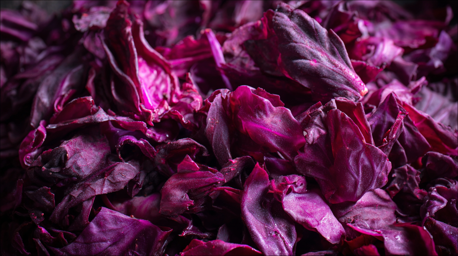 5 Compelling Reasons to Choose the Best Dried Red Cabbage for Your Business Needs