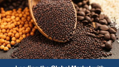 Leading the Global Market with Best Food Additives from China’s Premier Manufacturers