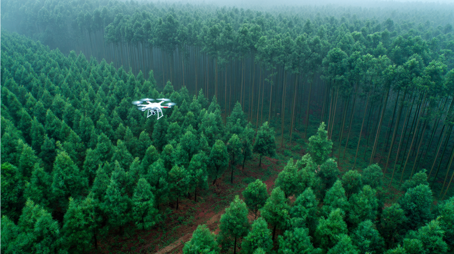 China's Leading Drone Technology for Unmatched Global Reforestation Quality Assurance