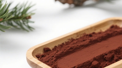 Pinus Pinaster Extract OPC Powder 2.jpg