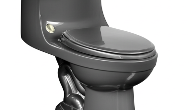 Understanding Issues with One Piece Toilet Seat Designs for Global Buyers