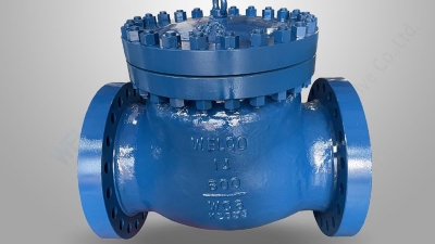 High temperature service check valve.jpg