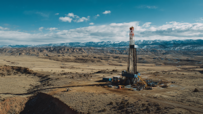 Ultimate Guide to Maximizing Performance with Premium Mud Additive in Your Drilling Projects