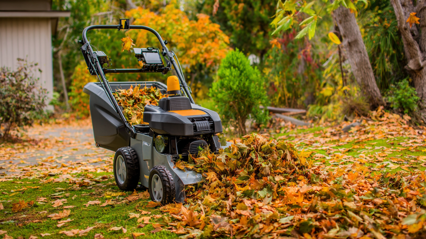 Essential Checklist for Choosing the Best Electric Chipper Shredder for Your Landscaping Needs
