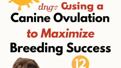 12 Expert Tips for Using a Canine Ovulation Detector to Maximize Breeding Success