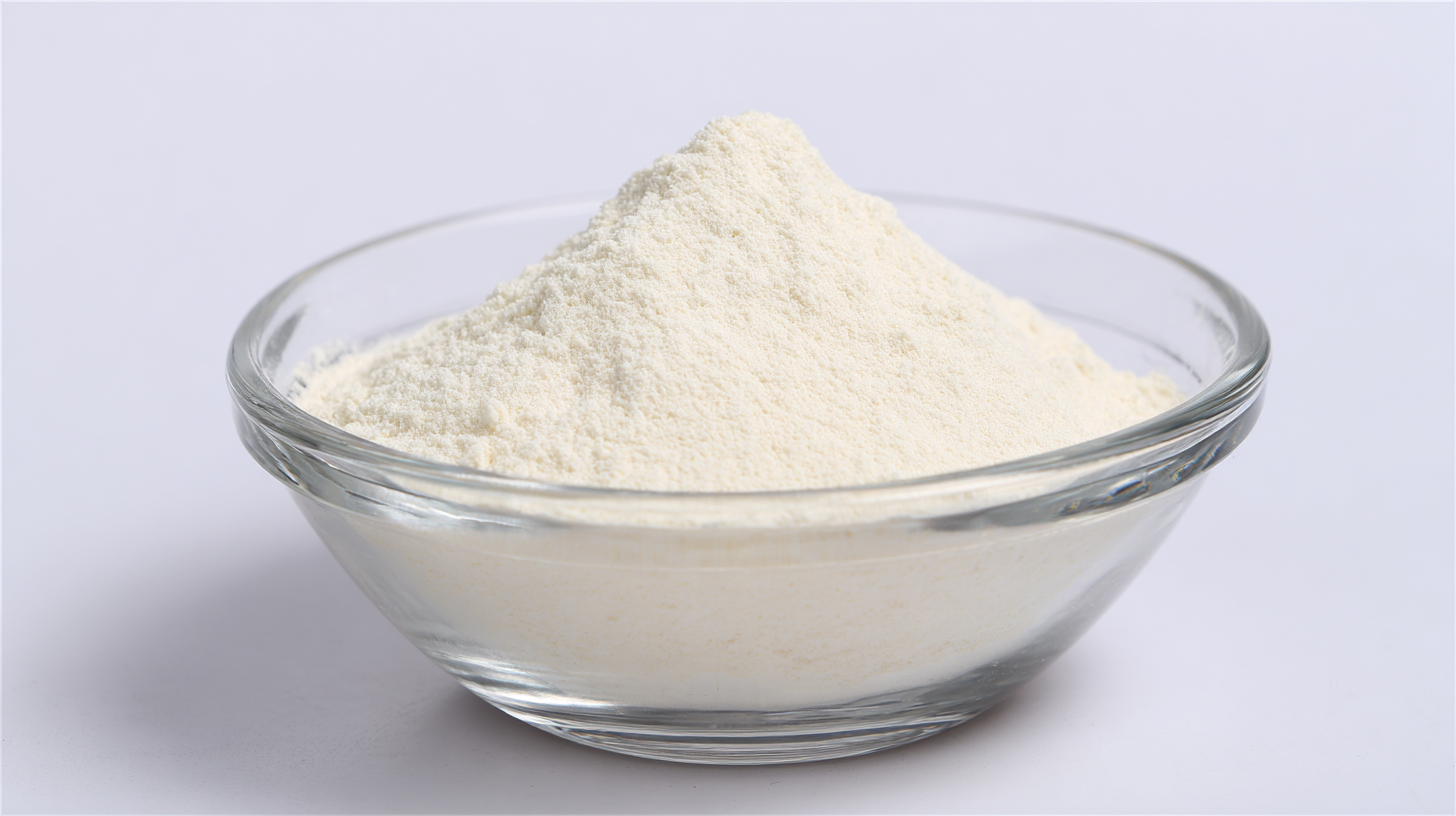 Unleashing the Power of Dibenzoyl Peroxide 50 Percent Paste in Diverse Industries