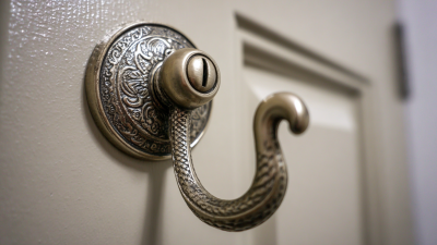 Ultimate Guide to Choosing the Best Door Hook for Your Home Organization Needs
