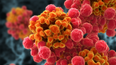 Mastering Quercetin Lipidosome Application with Expert Insights and Data Analysis