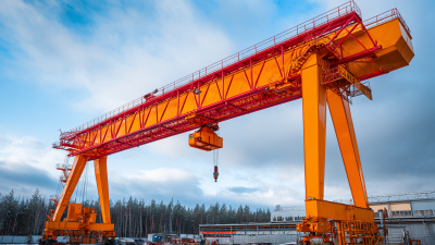 Overhead Gantry vs Other Crane Types Which is the Best Option for Your Business