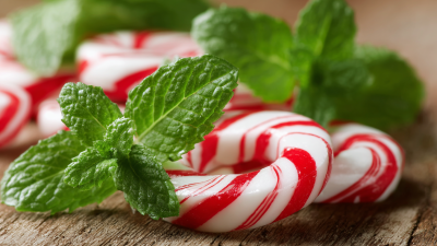 Exploring the Best Sugar Free Mint Candy: A Comprehensive Review and Comparison