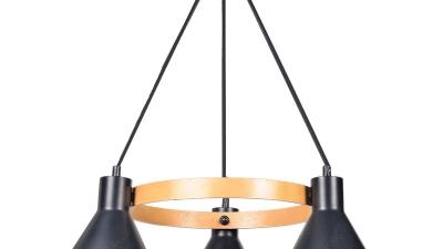 pendant light1.jpg